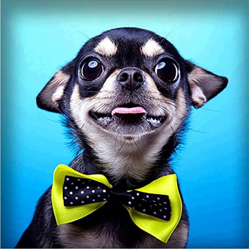 Digital Animal Handmade Gifts Home Decoration Gifts